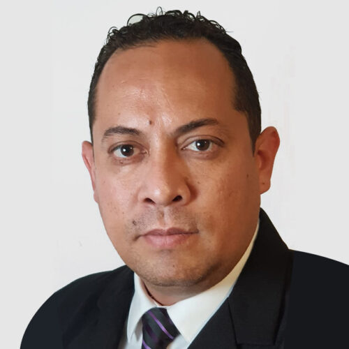 Dr. David Elizalde Fuentes